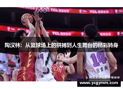 陶汉林：从篮球场上的拼搏到人生舞台的精彩转身