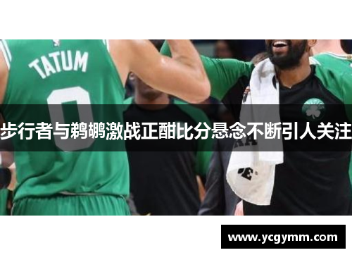 步行者与鹈鹕激战正酣比分悬念不断引人关注